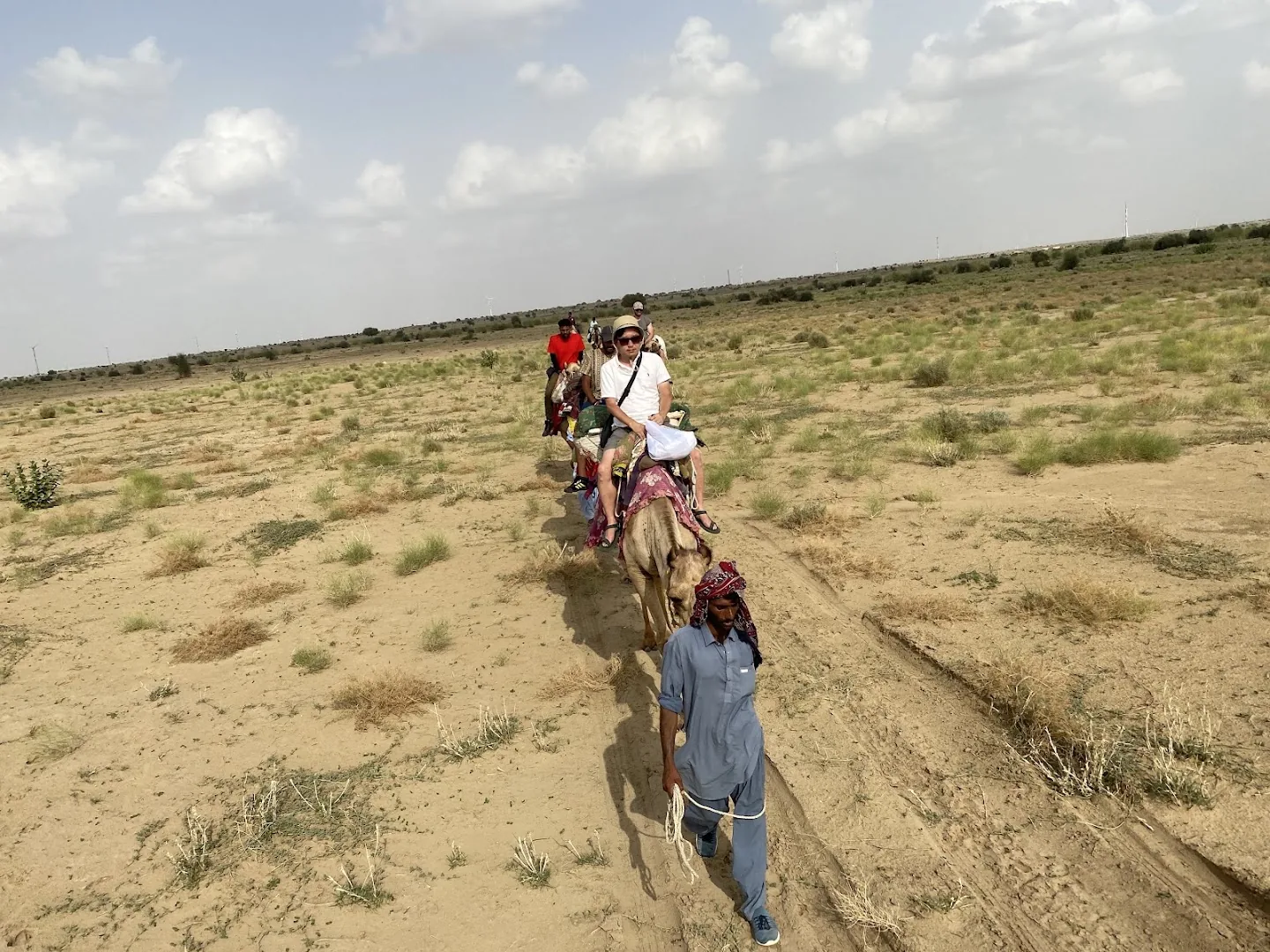 A line of camels crossing scrub near Sam Sand Dunes